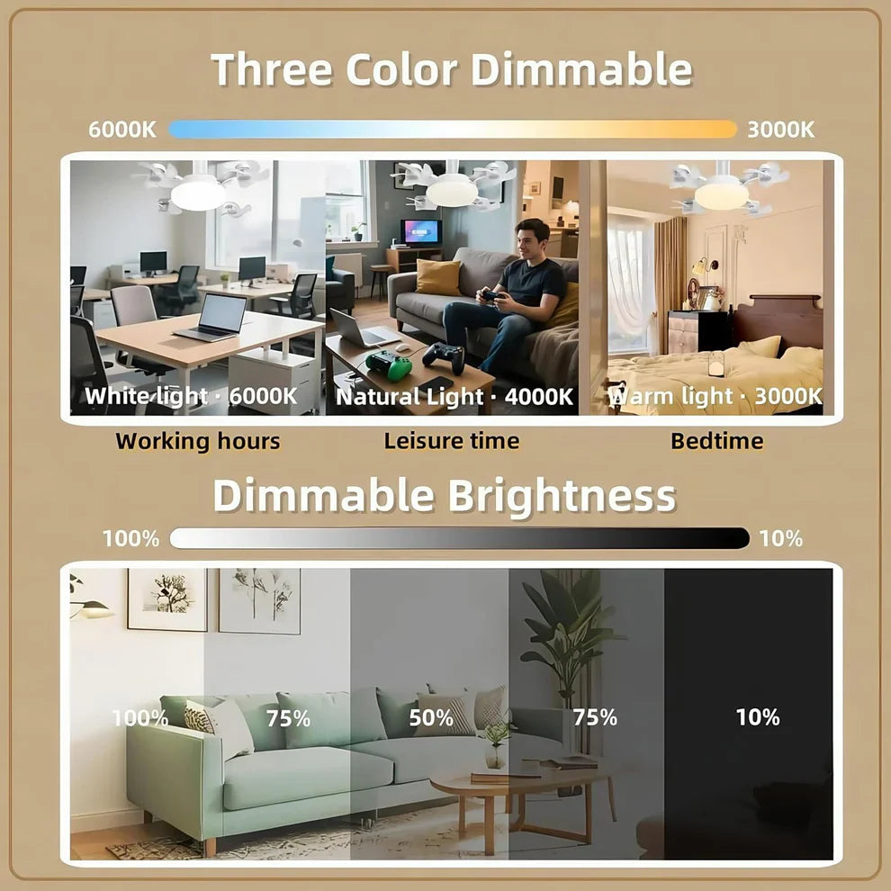 Socket Fan Light with Remote Control