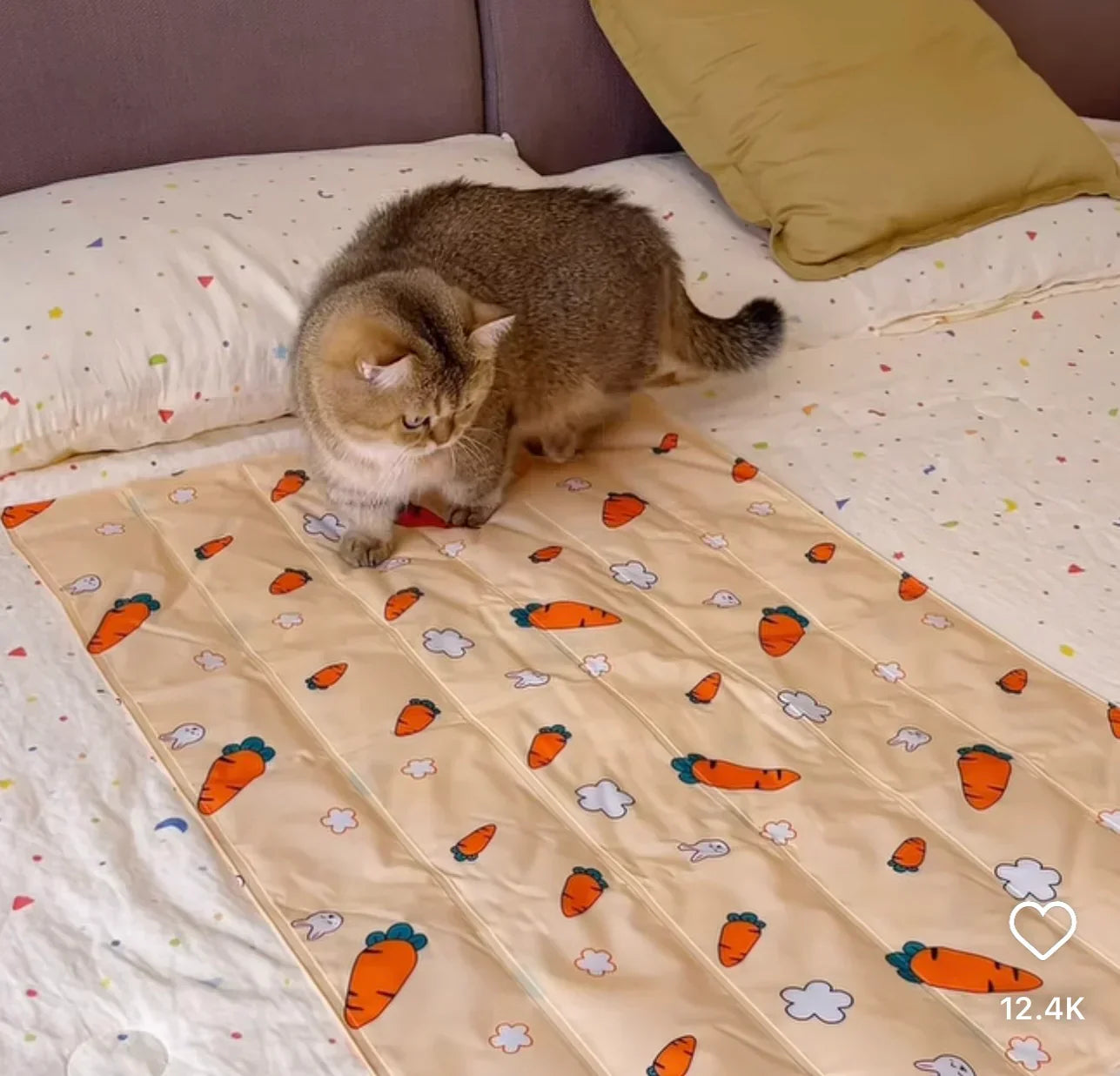 Cama de verano ICE para mascotas