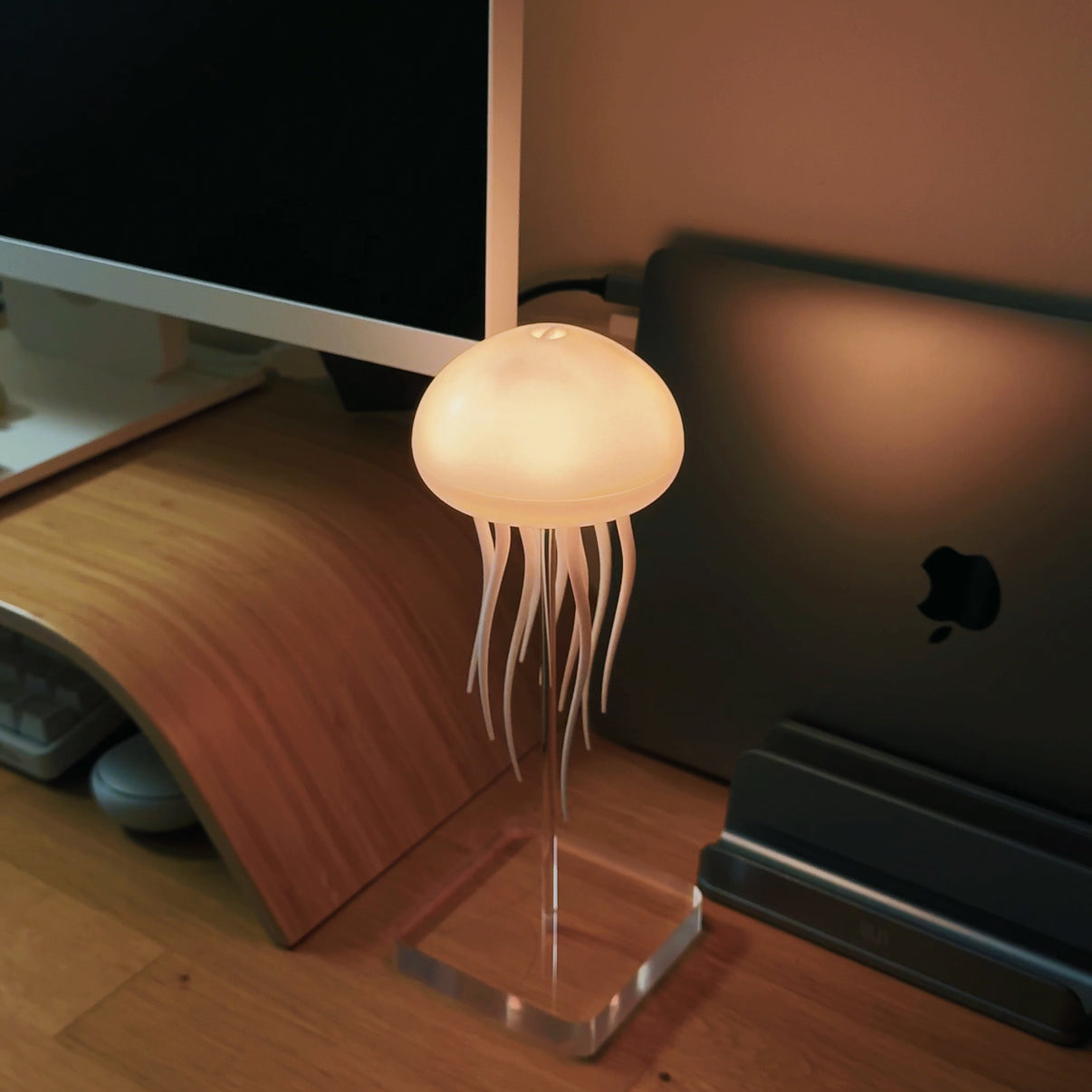 Luz nocturna de medusas